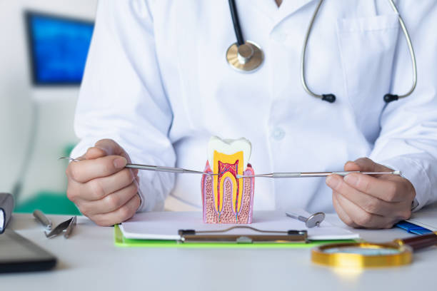 Best Tooth Pain Emergency Relief  in Morganville, NJ